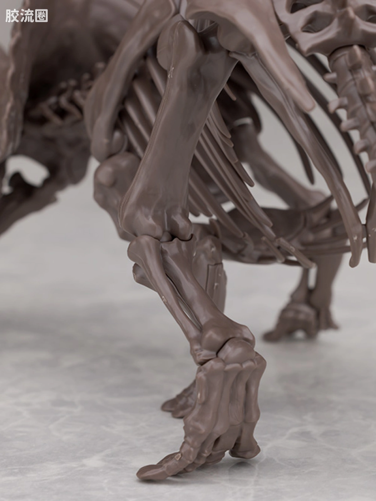 万代综合拼装模型系列 Imaginary Skeleton系列 三角龙 - 图片